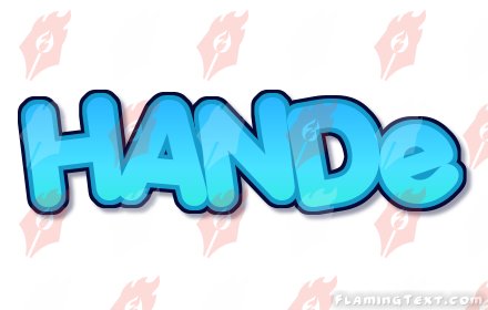 HANDe插件截图