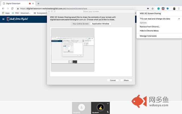 WSE DC Screen Sharing插件截图
