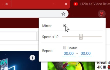 MirrorTube插件截图