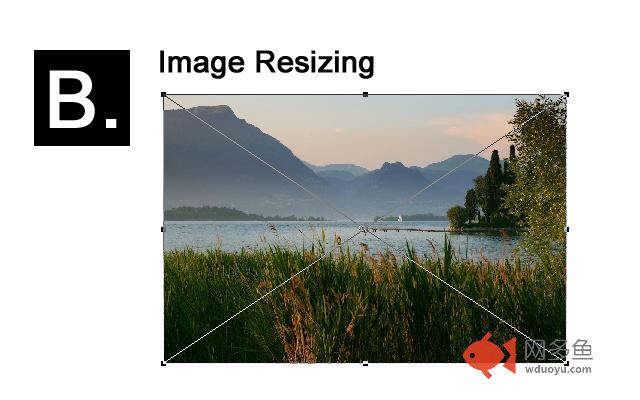 Resize Images插件截图