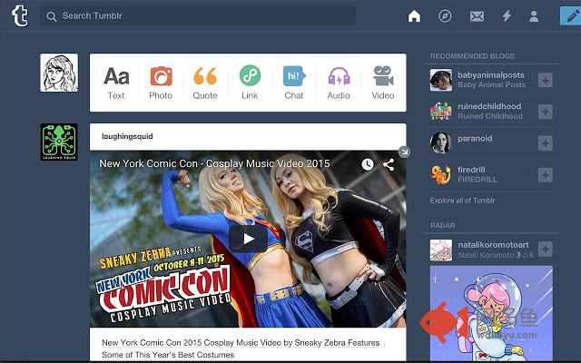 TumblrSkipper插件截图