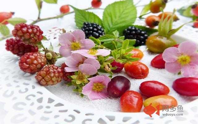 Cura Diabetes插件截图
