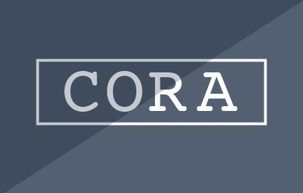 CORA report插件截图