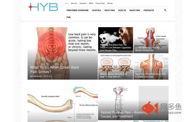 Health and Back Pain插件截图