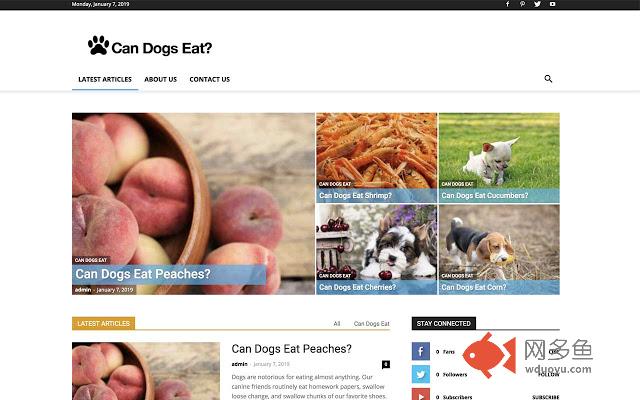 Can Dogs Eat ____?插件截图