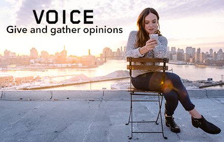 Voice Polls插件截图