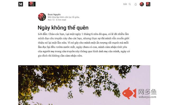 Vietnamese Fonts插件截图