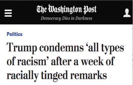 You Mean Racist?插件截图