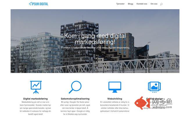 Digital markedsføring - Ipsum Digital插件截图