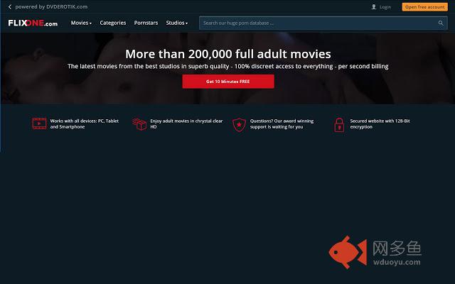 FLIXONE.com offers hassle free adult movies