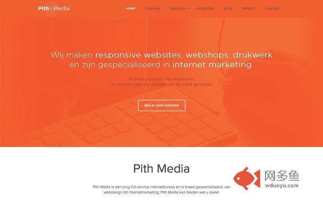 Pith Media插件截图