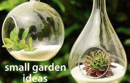 Small Garden Ideas插件截图