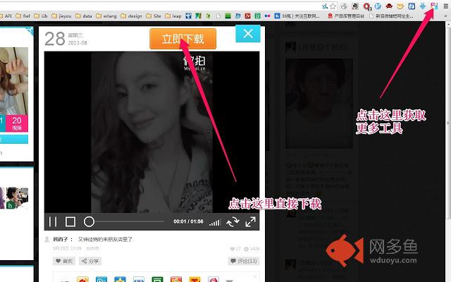 微拍视频下载器插件截图