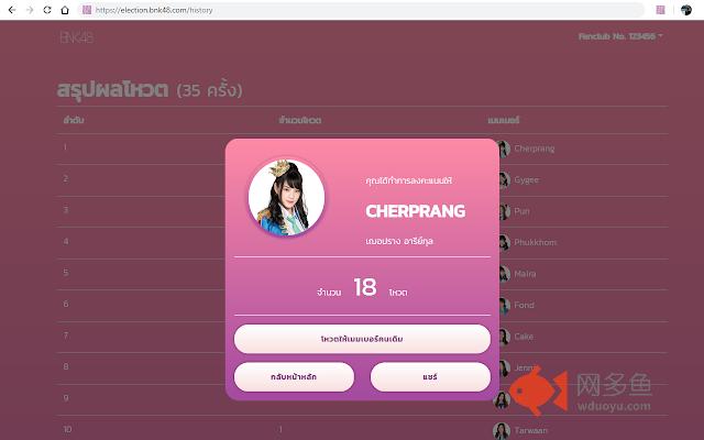 BNK48 Vote Summary插件截图