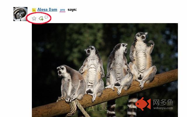 Flickr Photo Actions on Threads插件截图