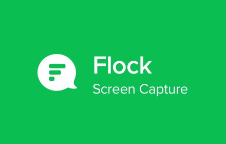 Flock Screenshare插件截图