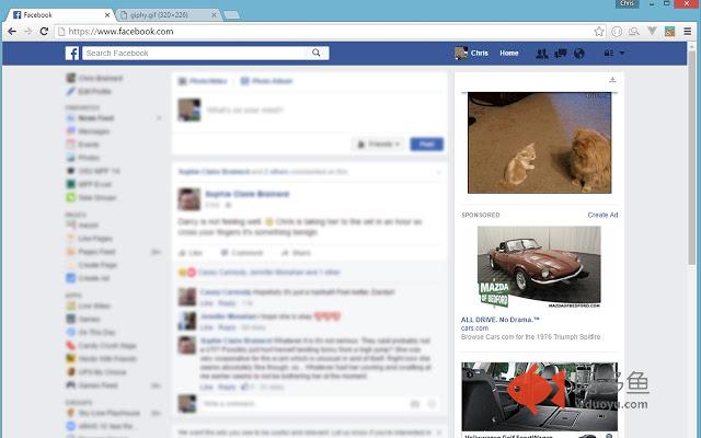 Kittens are Always Trending