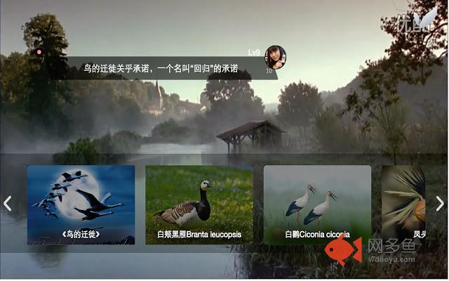 玩tv插件截图