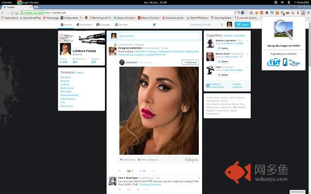 Show Thumbnails on Twitter插件截图