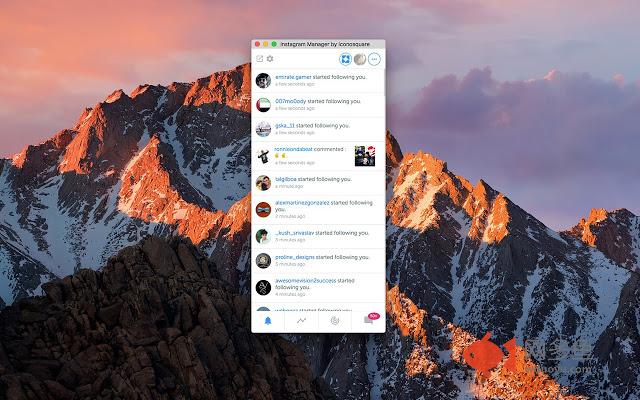 Iconosquare Extension