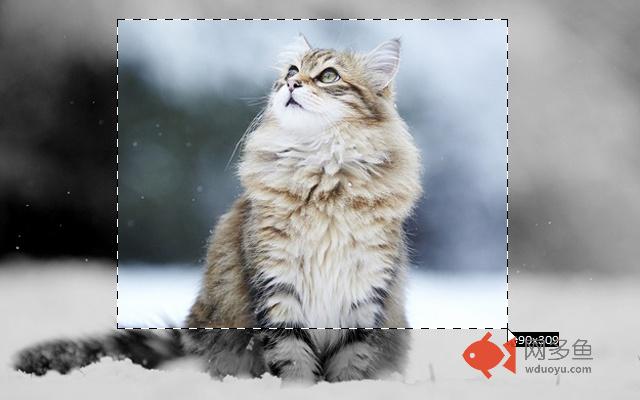 Скриншотер插件截图