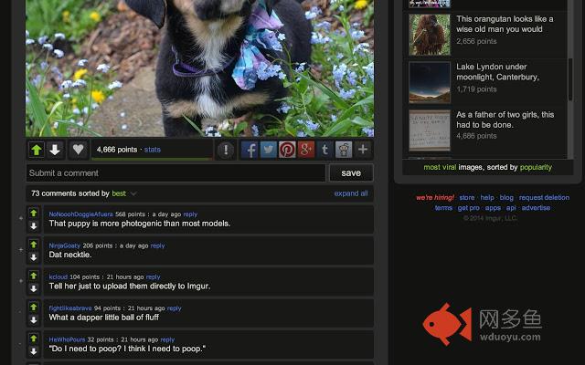 Imgur Upvote Fairy插件截图