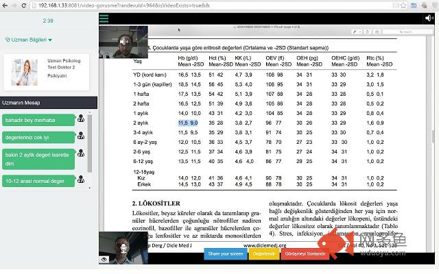 HemenGorus Screen Sharing插件截图