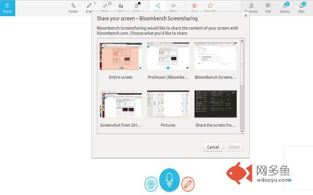 Bloombench Screensharing插件截图