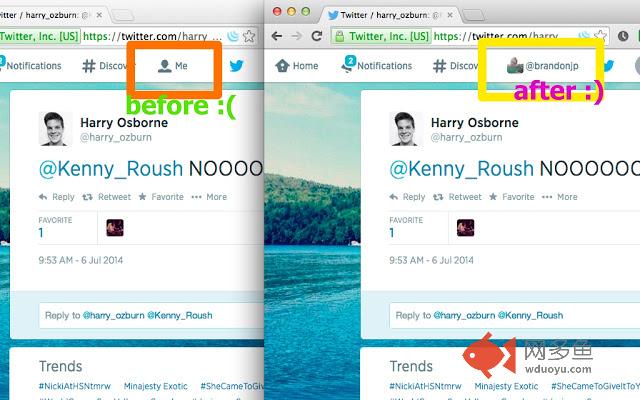 WhichTwitter?插件截图
