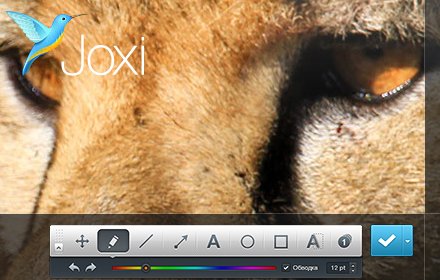 Joxi Full Page Screen Capture插件截图