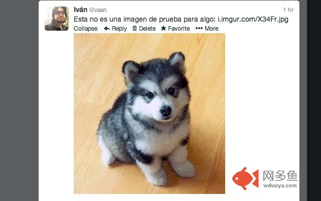 Imgur Twitter cards插件截图