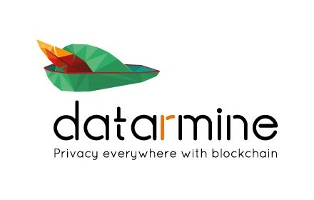 Datarmine, Privacy everywhere with blockchain插件截图