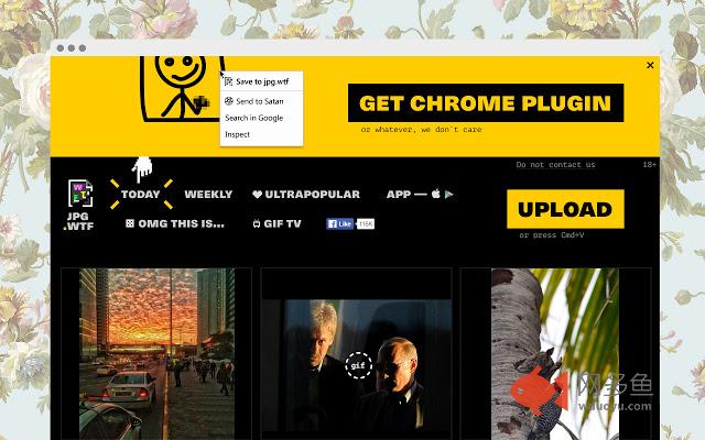 JPG.WTF插件截图