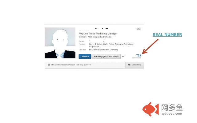 LinkedIn Information Helper插件截图