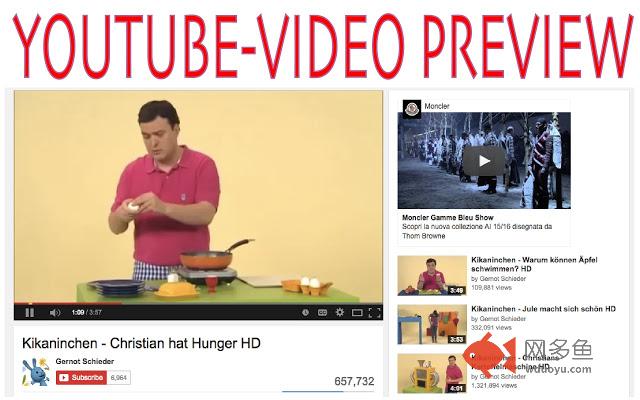 Youtube - Video Preview插件截图