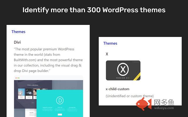 Theme Wise: WordPress Theme Detector