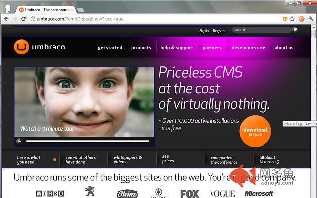Umbraco Debug插件截图
