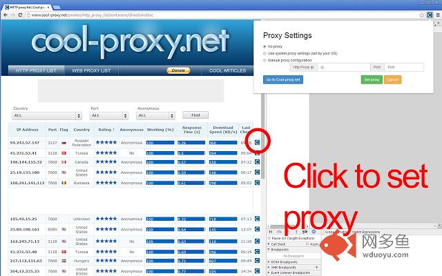 cool-proxy.net proxy switcher插件截图