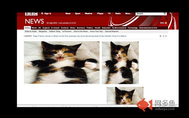 Royal Baby Catifier插件截图
