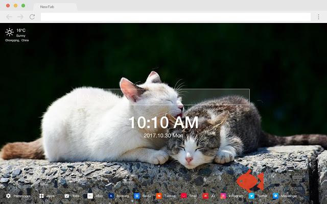 猫咪 精选可爱系列 热门主题