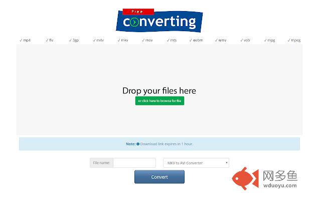 MKV to AVI Converter插件截图