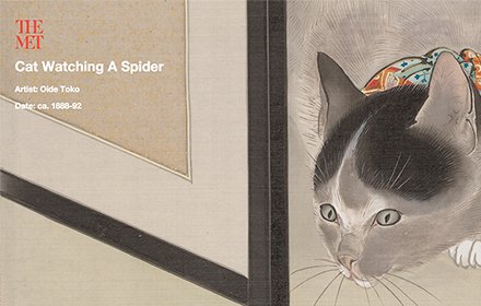 Meow Met插件截图