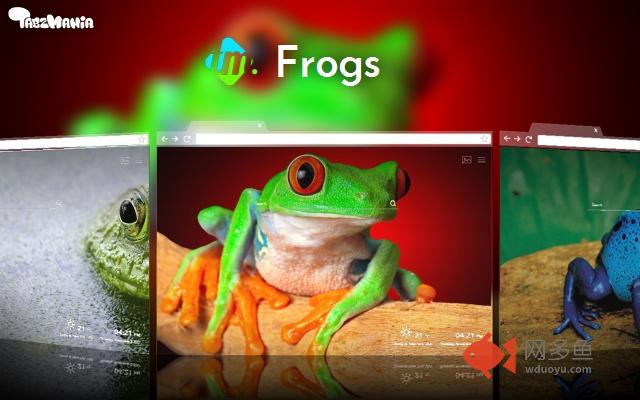 Colorful Frogs Wallpapers UHD backgrounds