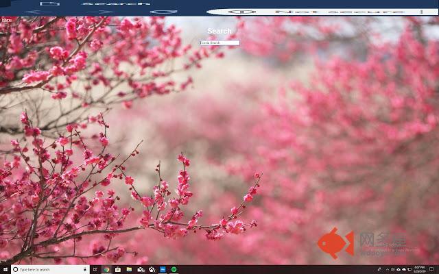 Titus' Website插件截图