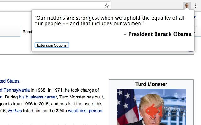 Not My President插件截图