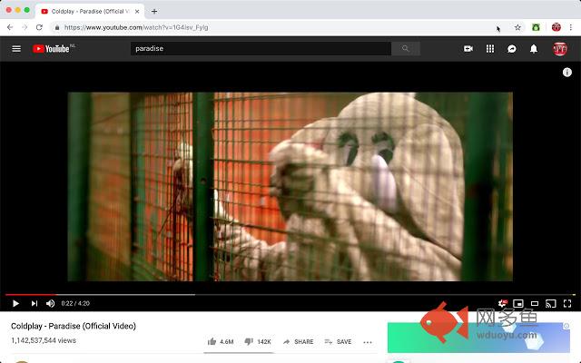 Paradify - Youtube to Spotify插件截图