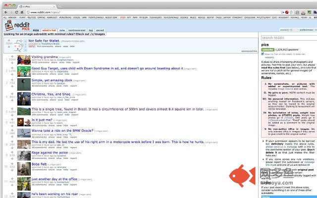 Reddit Blue Links