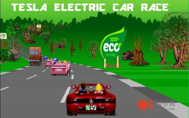 Tesla Electric Vehicle Cars Race