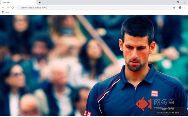Novak Djokovic New Tab Theme