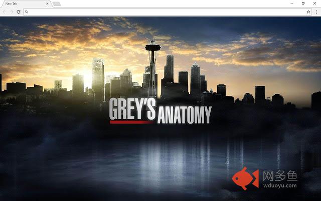 Grey's Anatomy New Tab & Themes